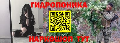 PSILOCYBIN Краснодар